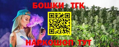 apvp Канаш